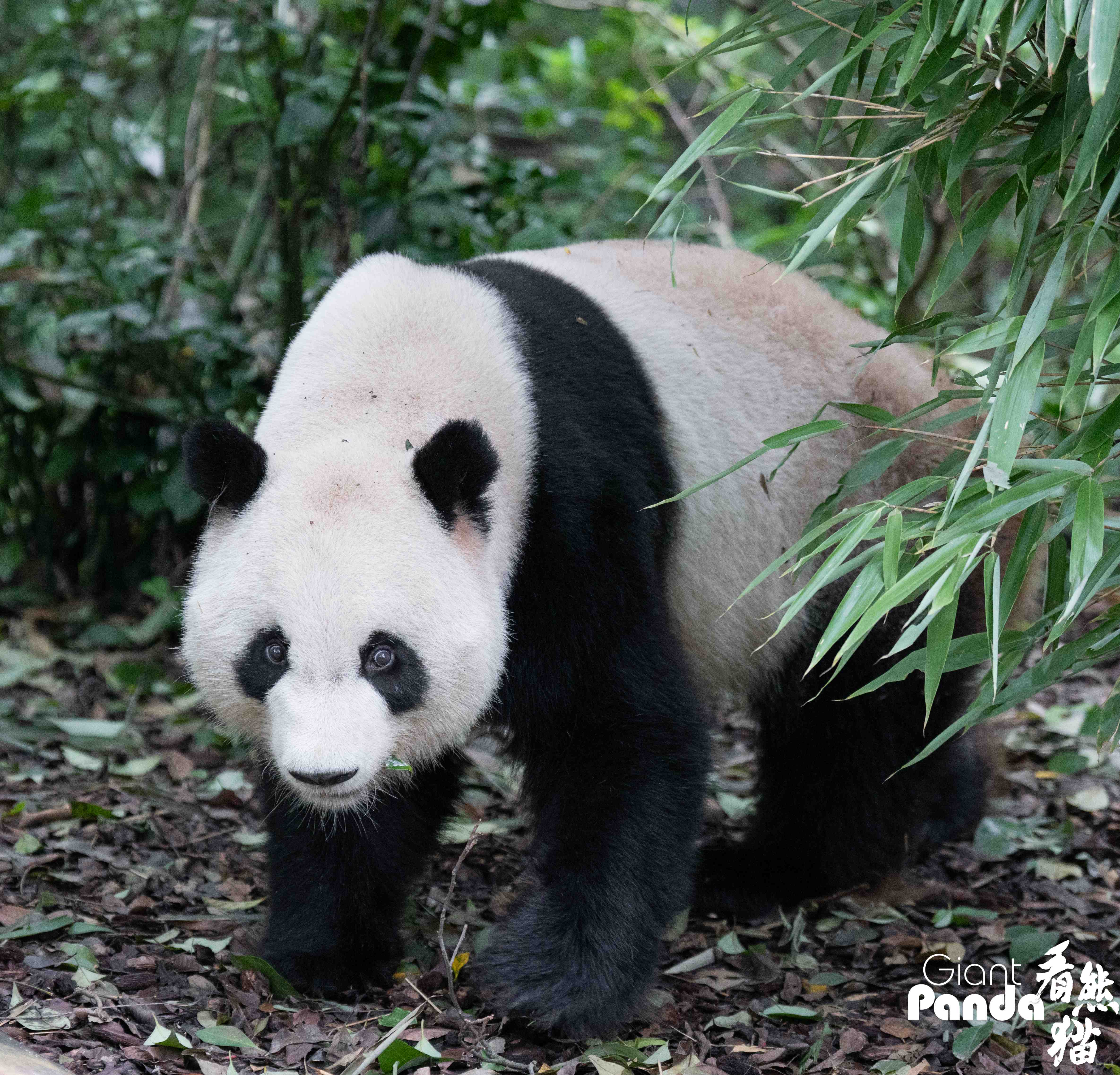 DSC04595 拷贝_副本.jpg