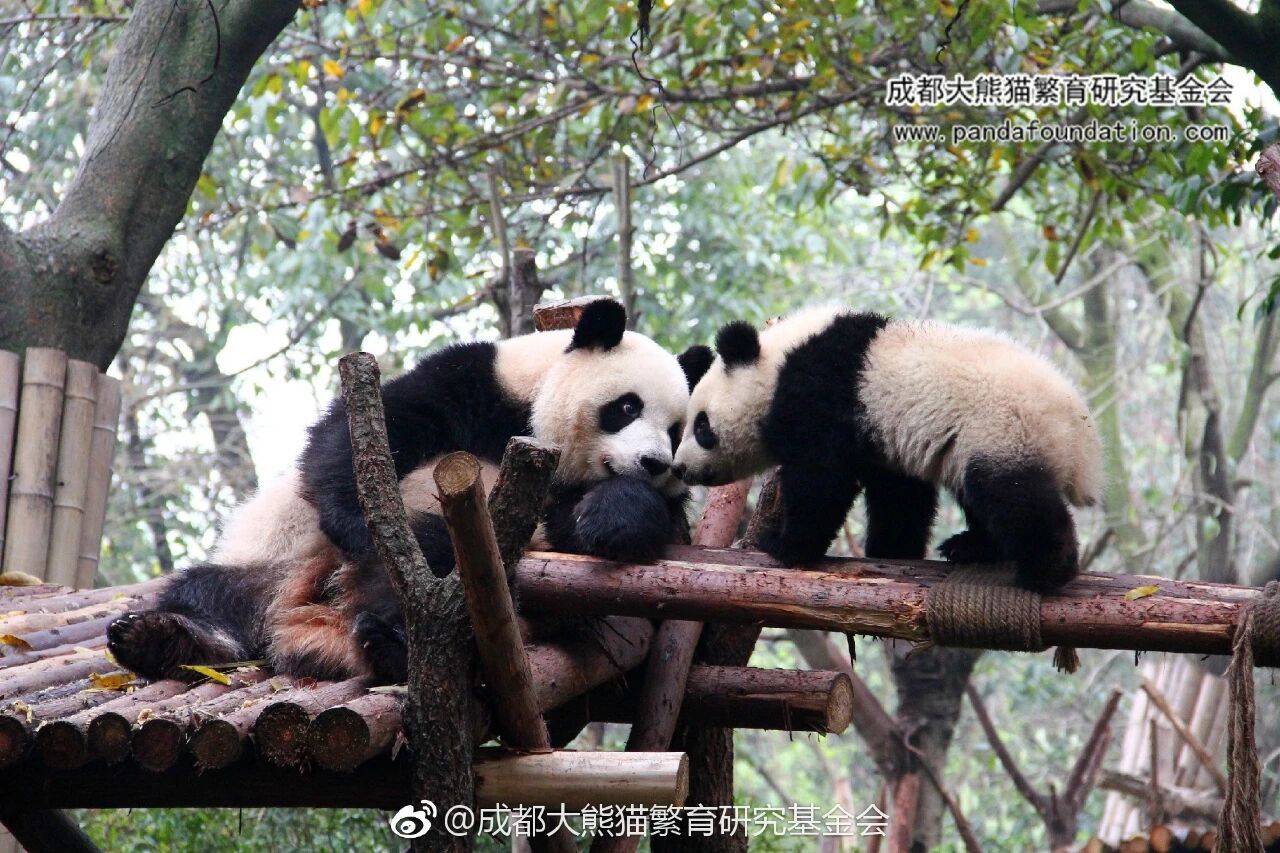 压力2.jpg