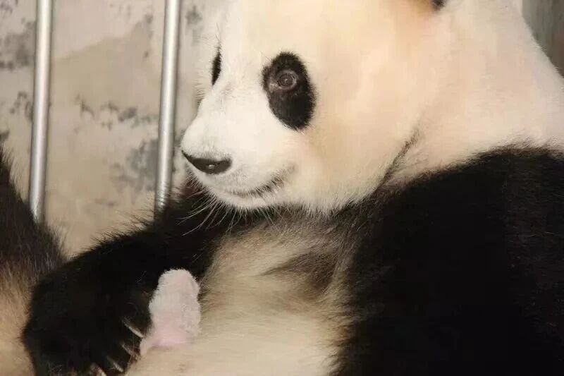 微信图片_2025-11-20_161833_949.jpg