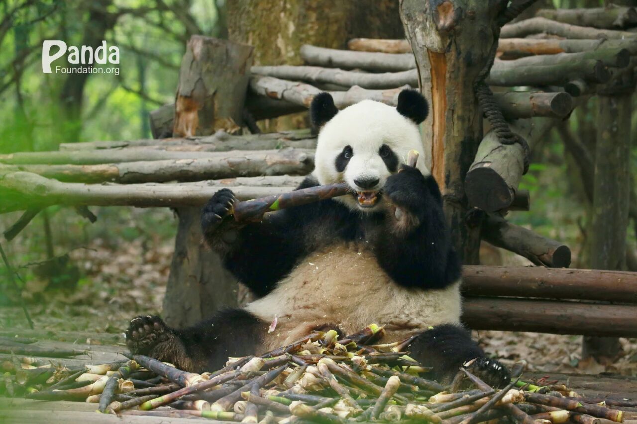 微信图片_2025-11-20_161840_658.jpg