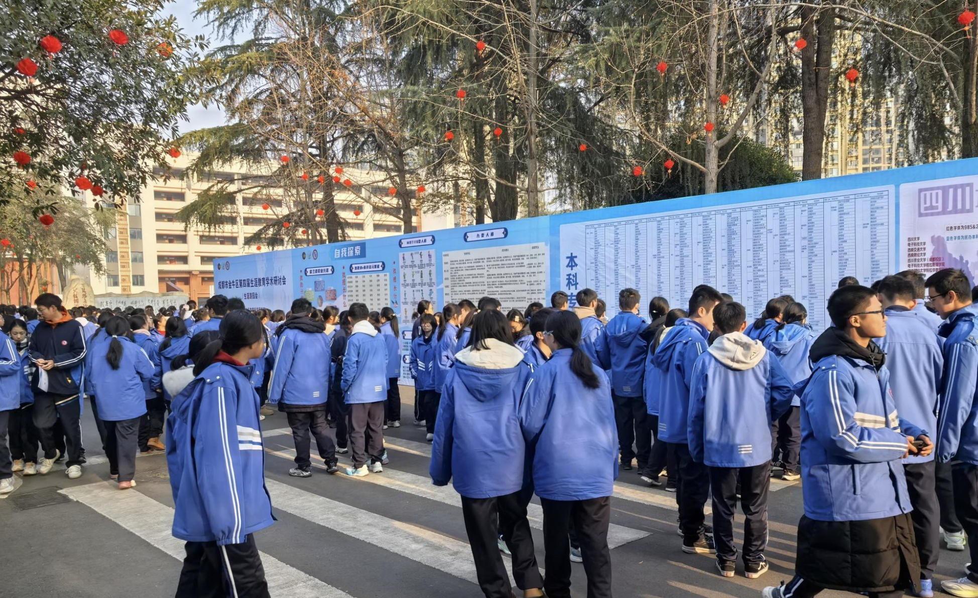 1769239199633681.jpg 杨01244.jpg