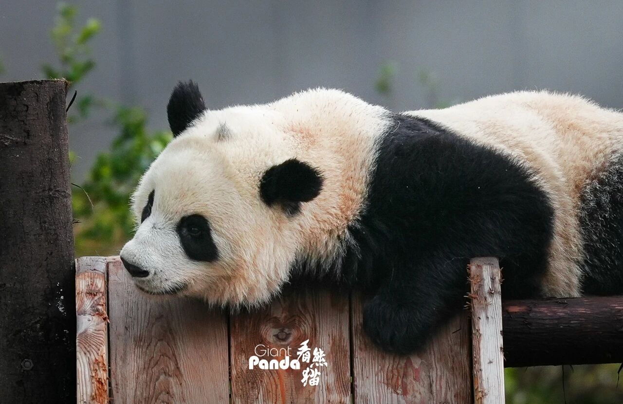 微信图片_2026-02-03_155627_933.jpg