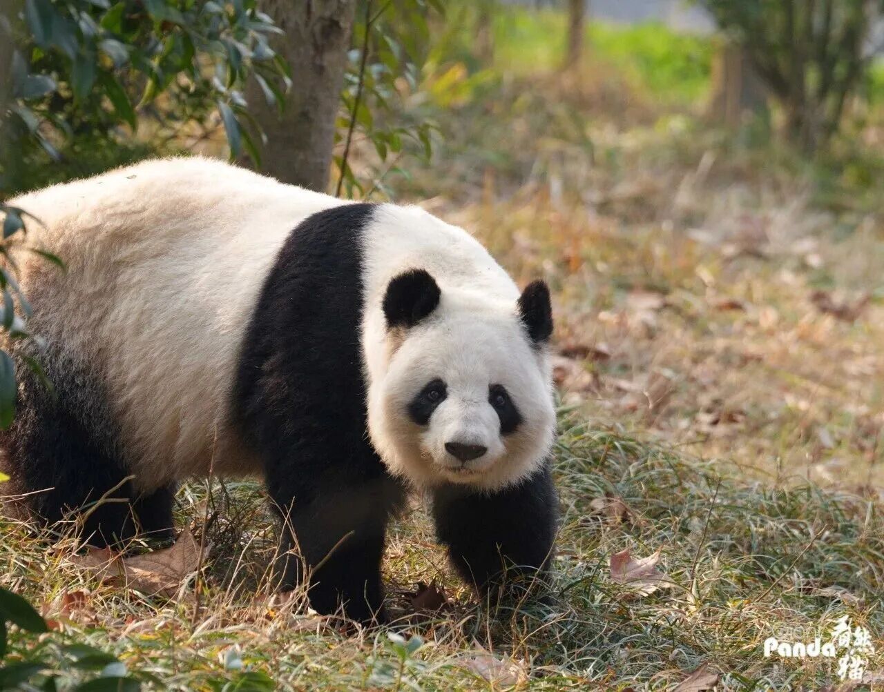 1770190891184071.jpg 微信图片_2026-02-04_154113_829.jpg