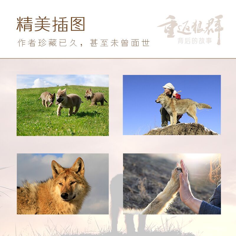 1770561546127408.jpg 29343617-4_u_1768383109.jpg