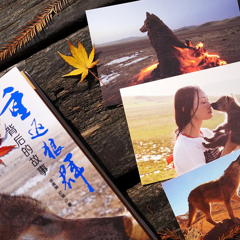 1770561561305787.jpg 29343617-5_u_1768383109.jpg