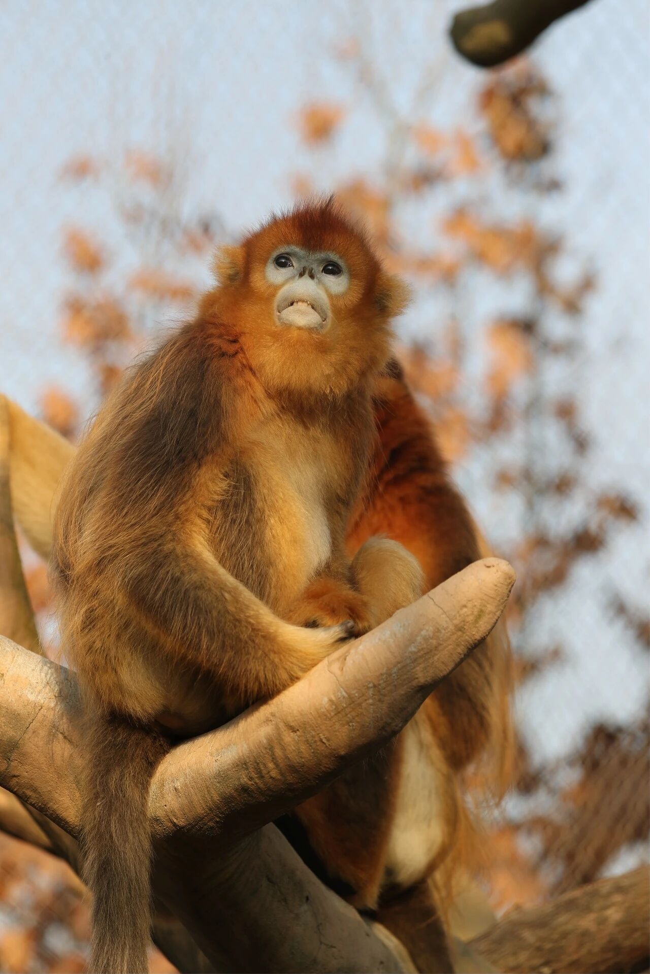 1770611458460312.jpg 微信图片_2026-02-09_122922_621.jpg