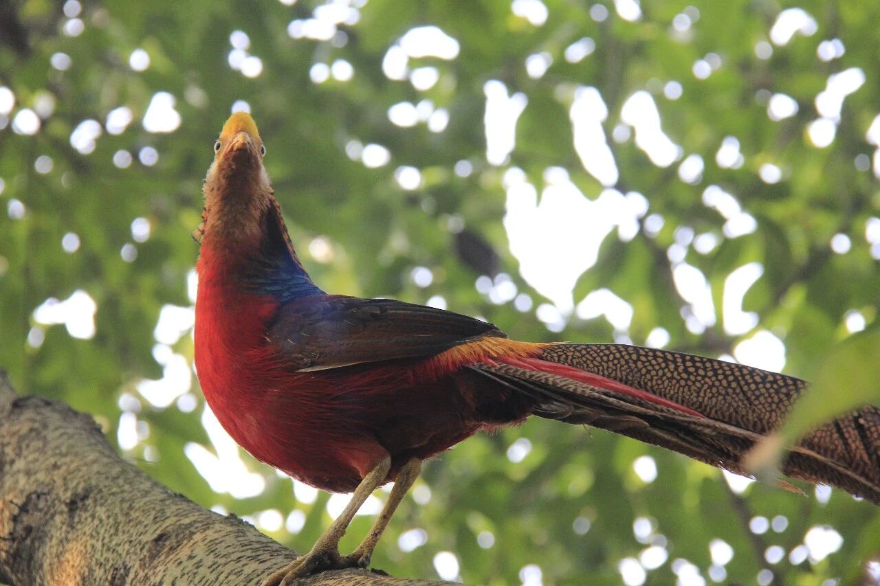 1770611518863928.jpg 微信图片_2026-02-09_123148_803.jpg