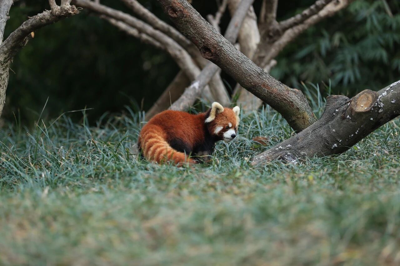 1770611547896330.jpg 微信图片_2026-02-09_123221_326.jpg