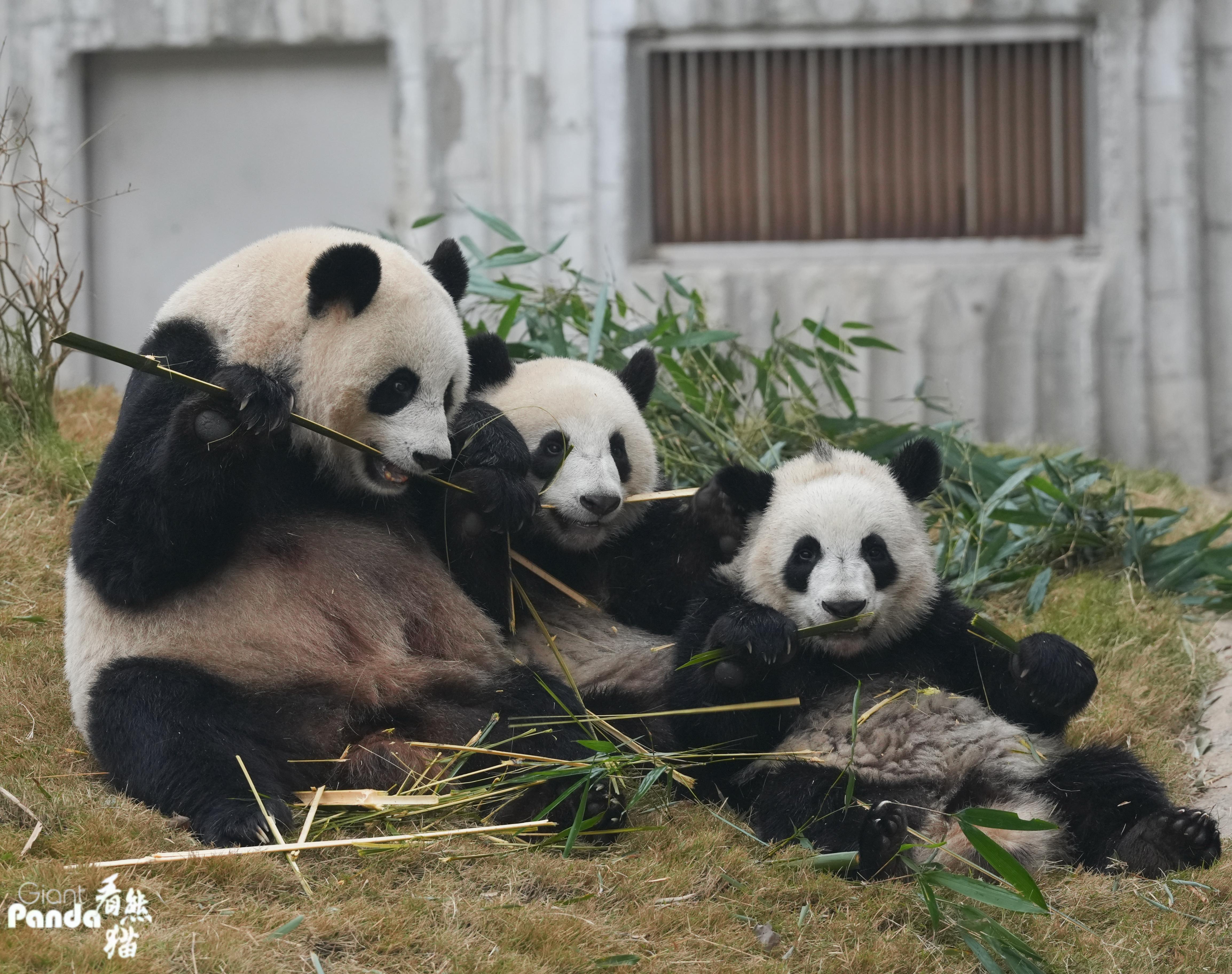 1770611855928074.jpg DSC00182_副本.jpg