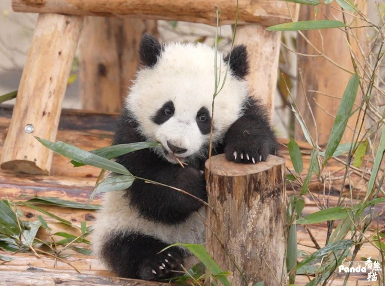 1770950302449480.jpg 微信图片_2026-02-13_103511_841_副本.jpg