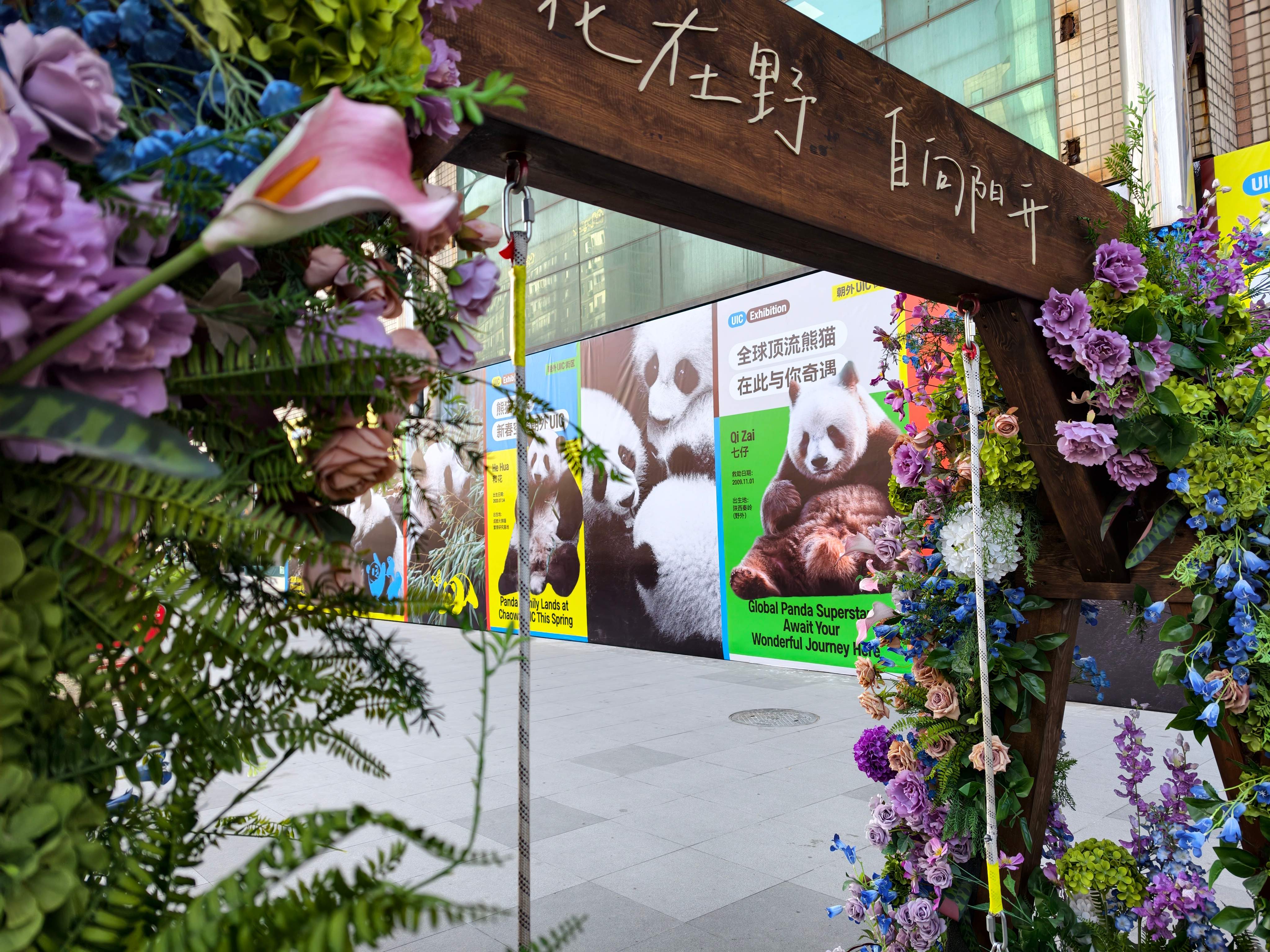 1771047412118677.jpg 98bff9d80402d2dd4482af2867baf0a4_副本.jpg