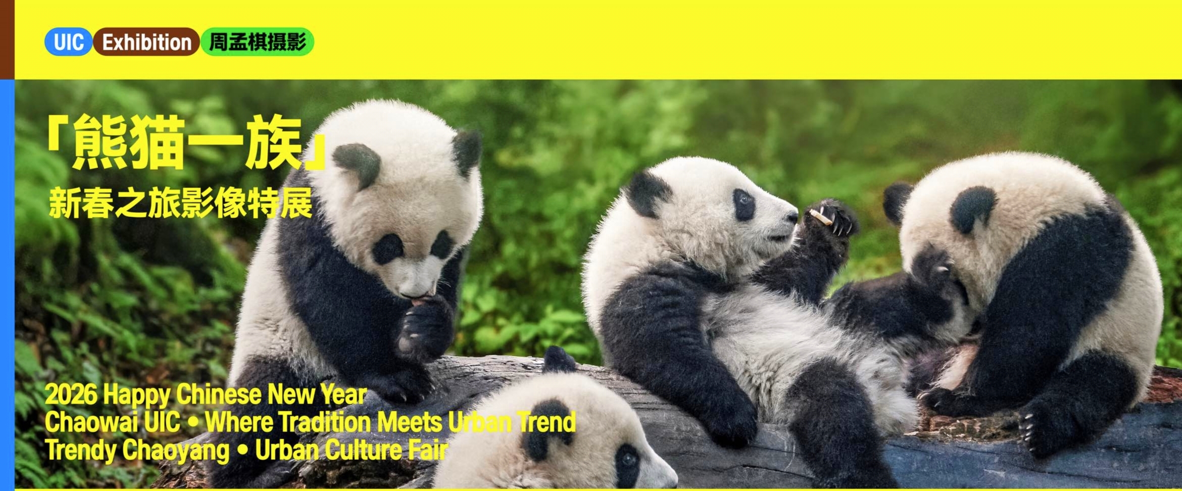 1771047643489846.jpg d1c325191c3683d293ef17cfd14cd15e.jpg