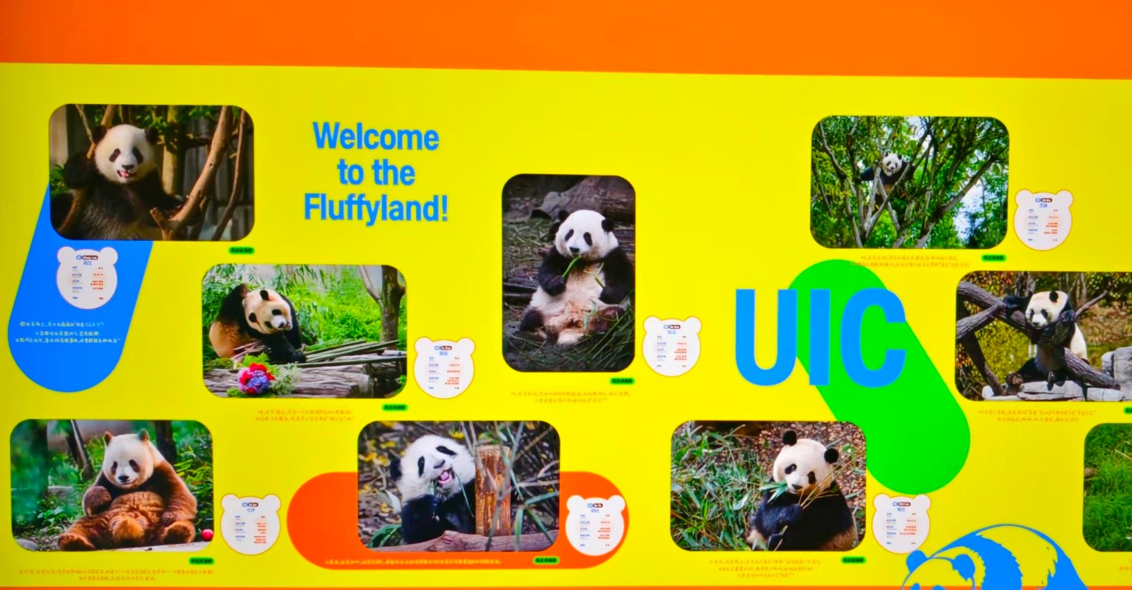 1771063128366448.jpg 20ee1d3c066c11551cffb8cb699946c8.jpg