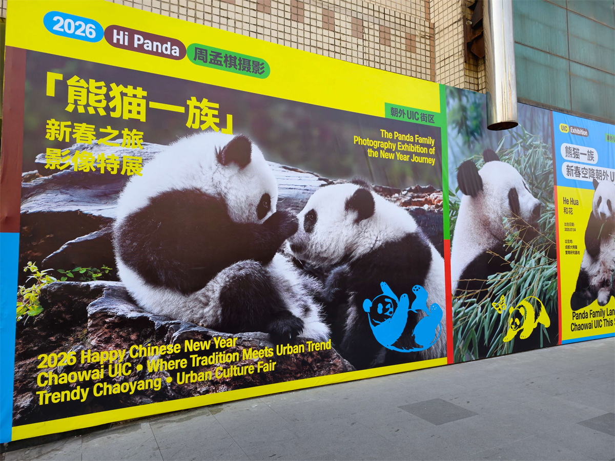 1771157536499706.jpg 1771047559512973.jpg