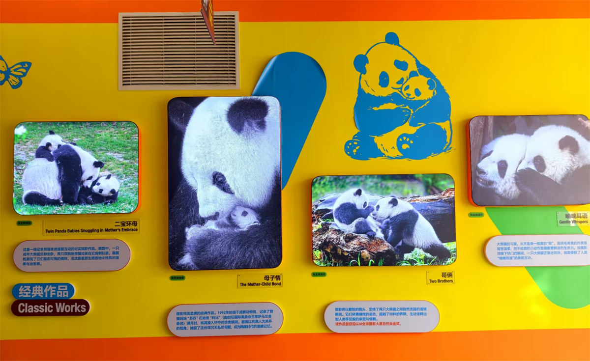 1771157545468637.jpg 1771063418840592.jpg