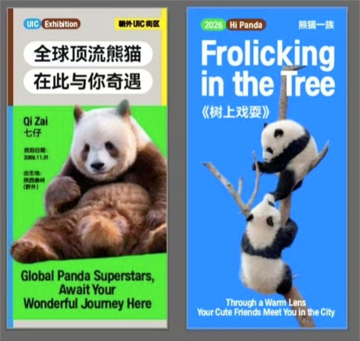 1771157577134405.jpg 微信图片_20260215181534_195_88.jpg