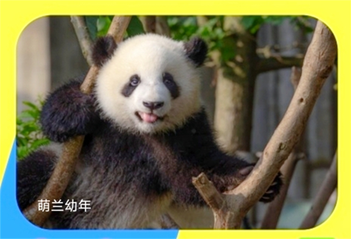 1771157591206447.jpg 微信图片_20260215181544_204_88.jpg