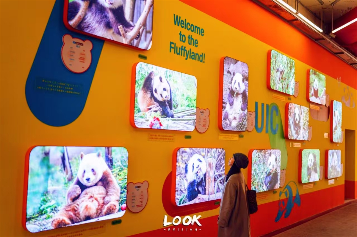 1771157619345591.jpg 微信图片_20260215091947_394_609.jpg