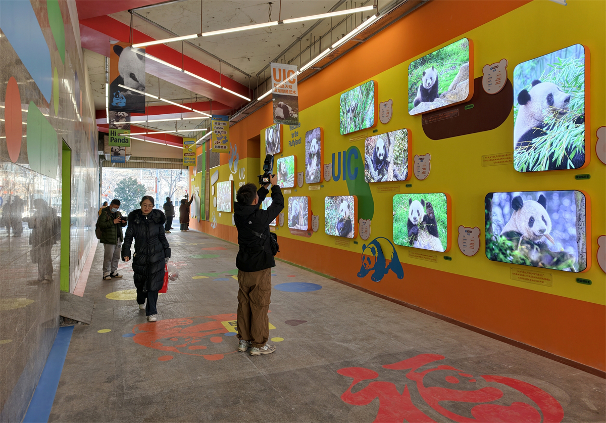 1771157635443084.jpg 微信图片_20260215181548_209_88.jpg