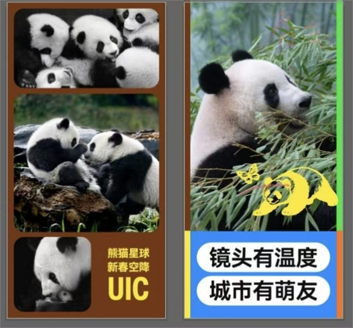 1771157674555039.jpg 微信图片_20260215181551_214_88.jpg