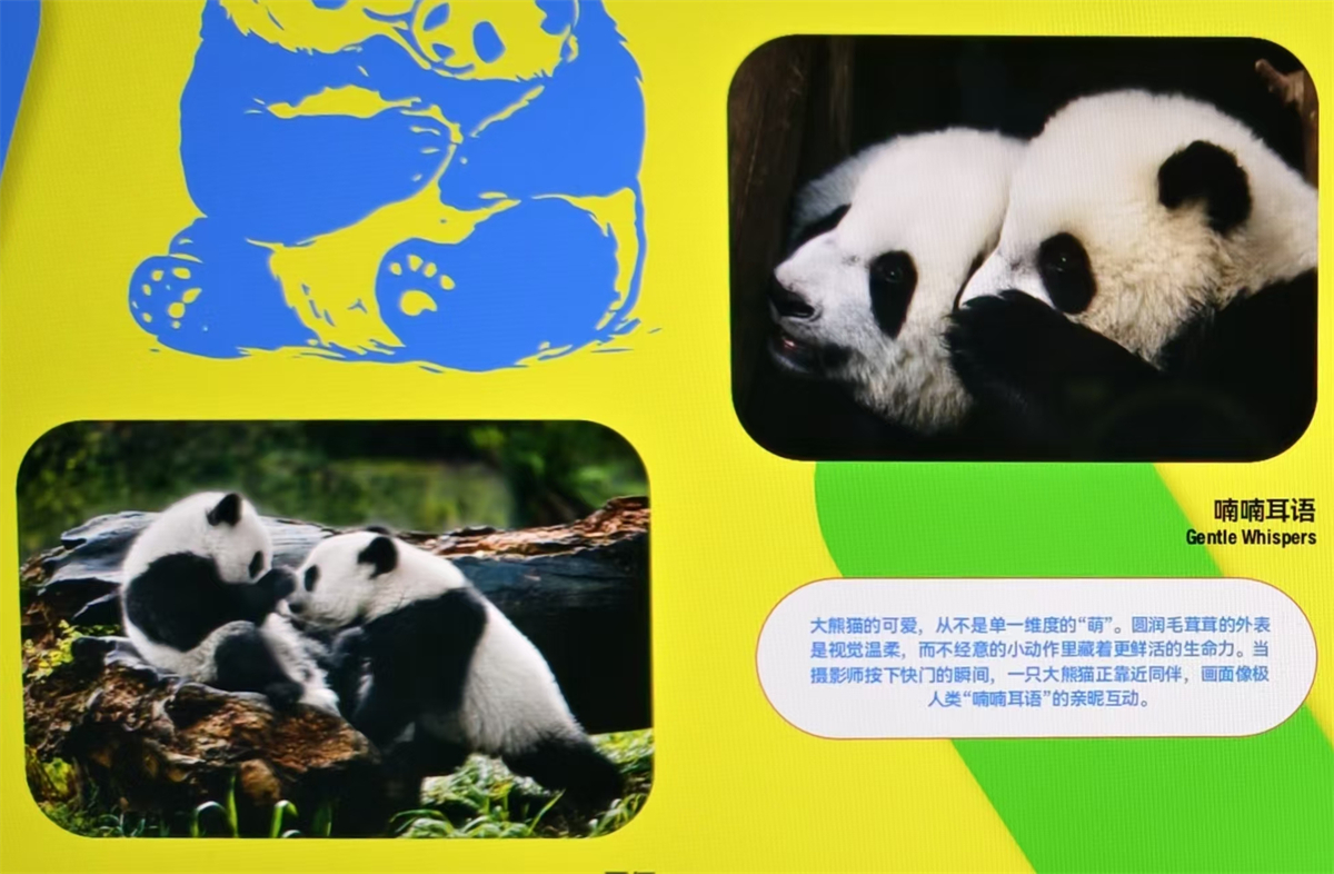 1771157753222376.jpg 微信图片_20260214182711_392_609.jpg