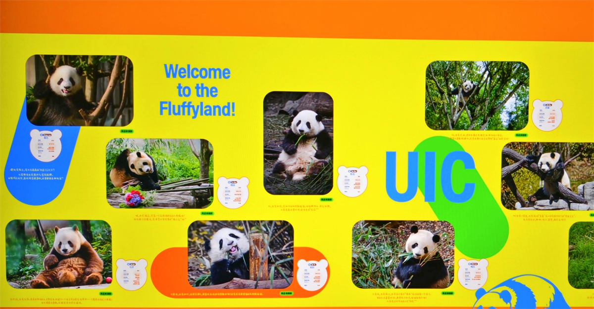 1771157768846506.jpg 微信图片_20260215181533_193_88.jpg