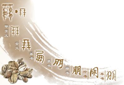 1772180801130811.jpg 20.jpg