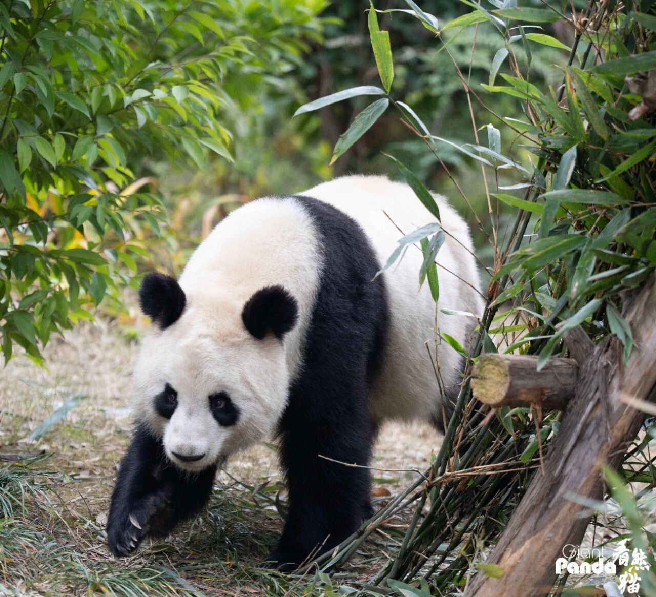 1772258966551222.jpg 微信图片_2026-02-27_100645_277.jpg