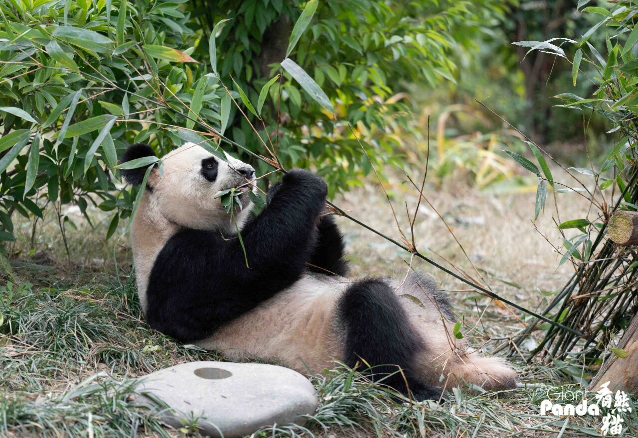 1772258985216888.jpg 微信图片_2026-02-27_100825_759.jpg