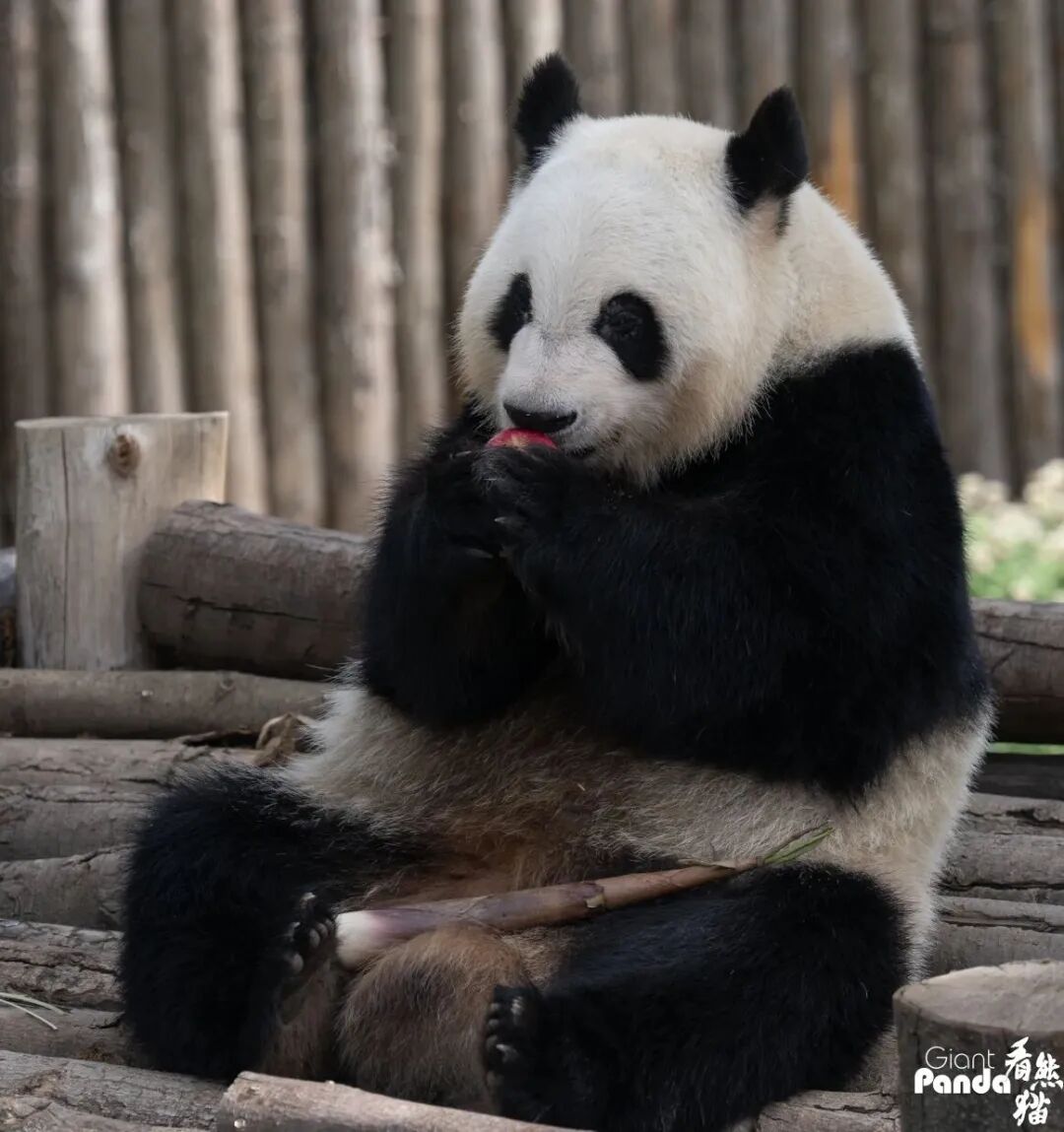 1773021503611674.jpeg 雅伦.jpeg