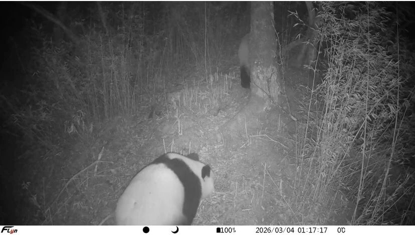 1773290503804862.jpg 微信图片_2026-03-12_123948_014.jpg