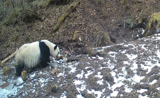 1773290526351780.jpg 微信图片_2026-03-12_123953_307.jpg