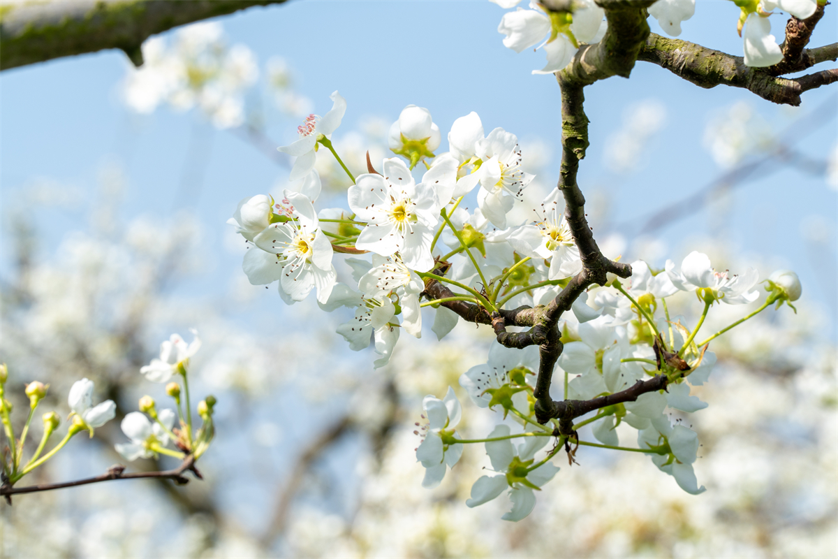 1773372404886224.jpg DSC08866.jpg