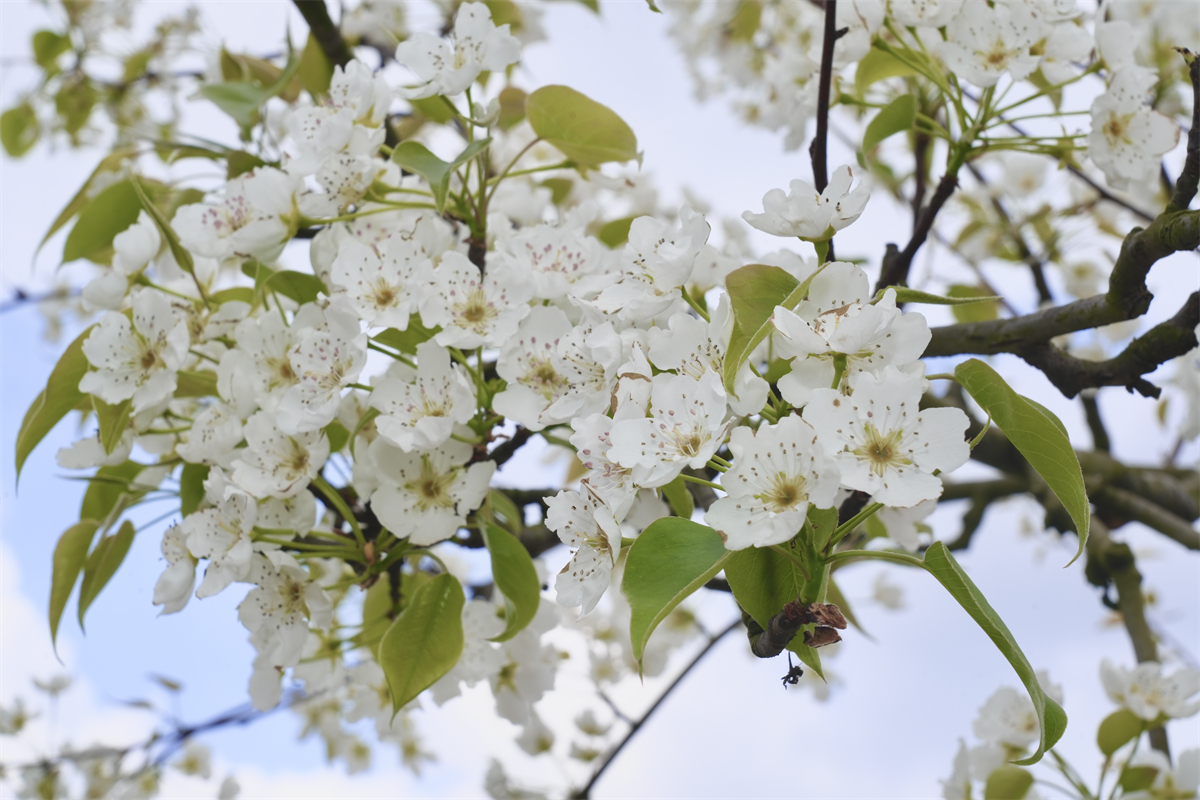 1773372422805280.jpg 33.jpg