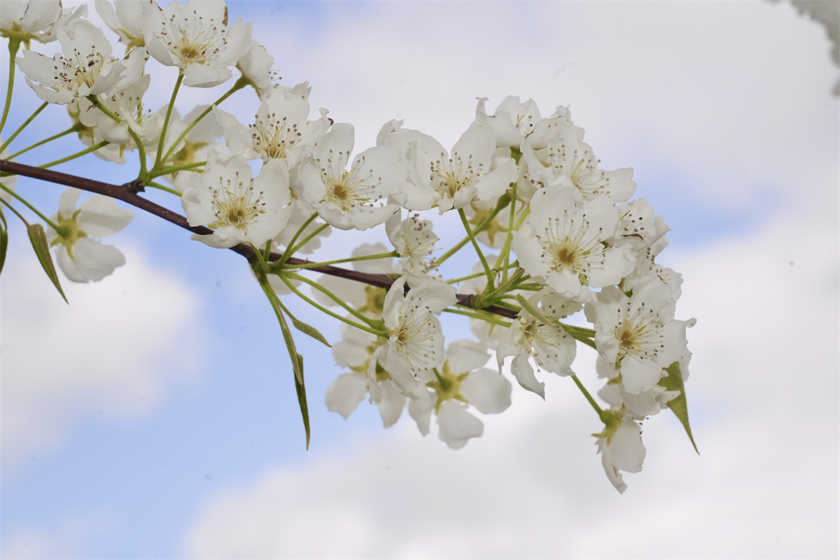 1773372489605681.jpg 55.jpg