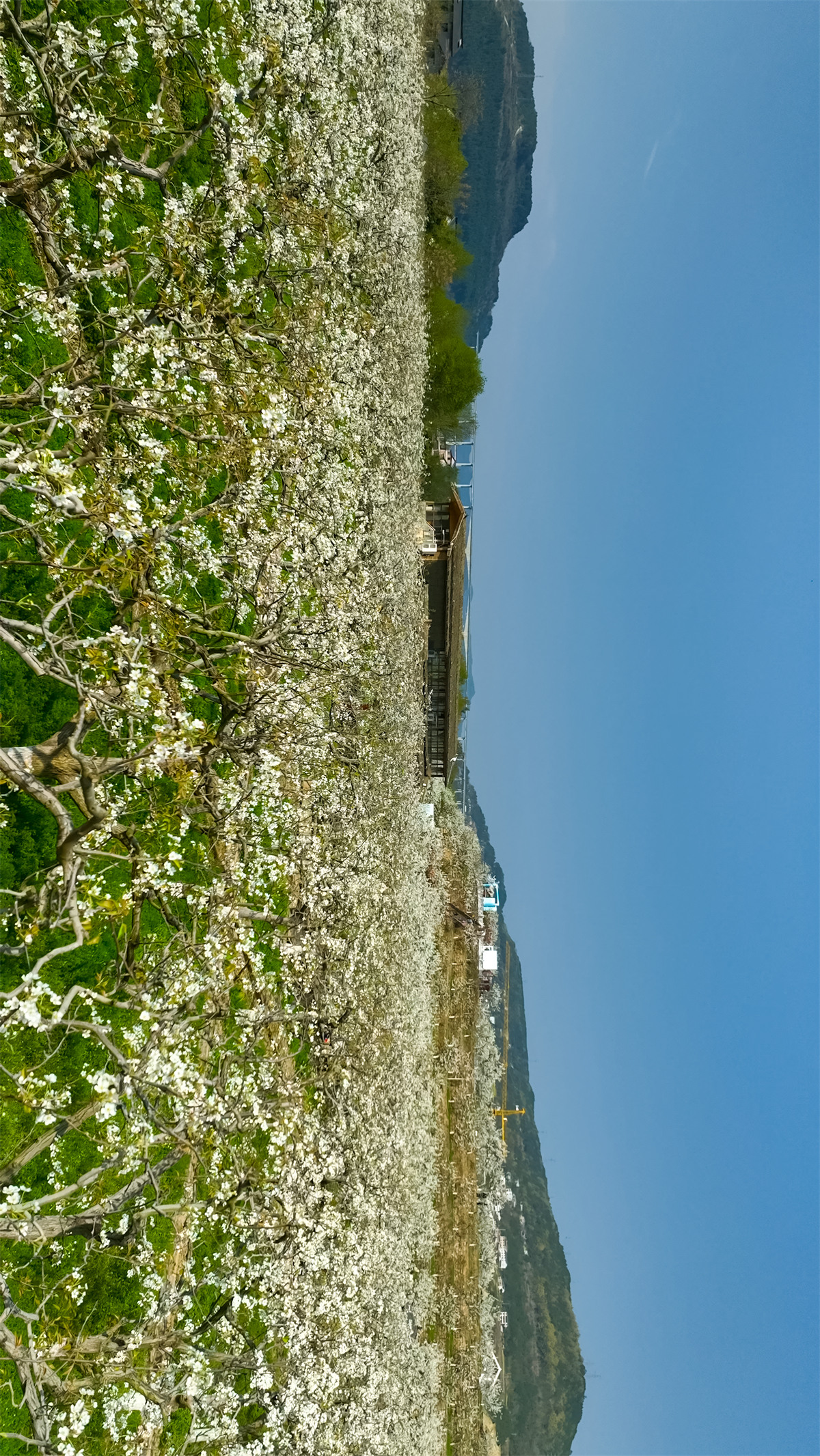 1773372577189150.jpg 微信图片_2026-03-12_163522_225.jpg