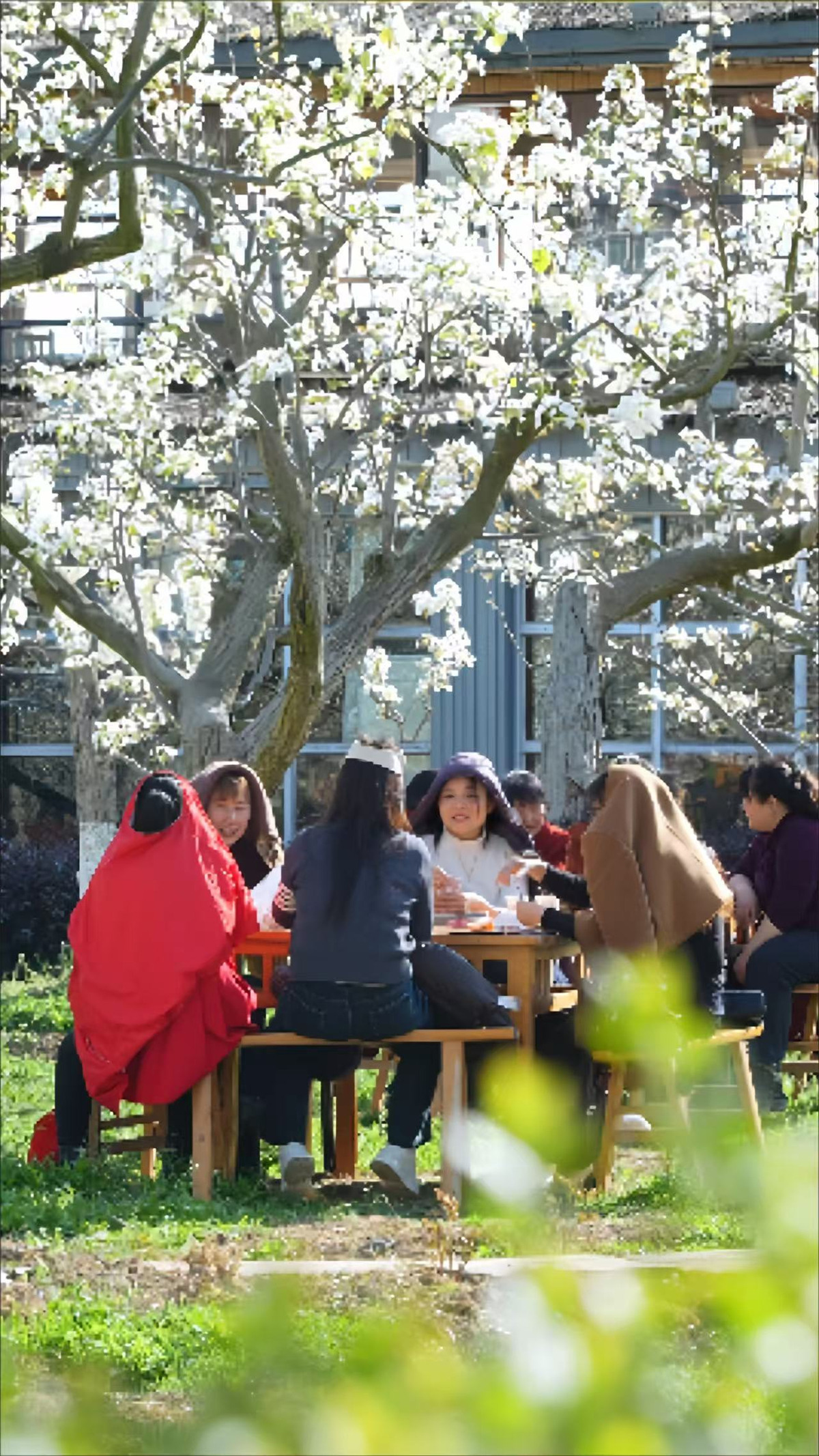 1773372666819109.jpg 264b84718a8f23389c34f275c11b4ad7.jpg