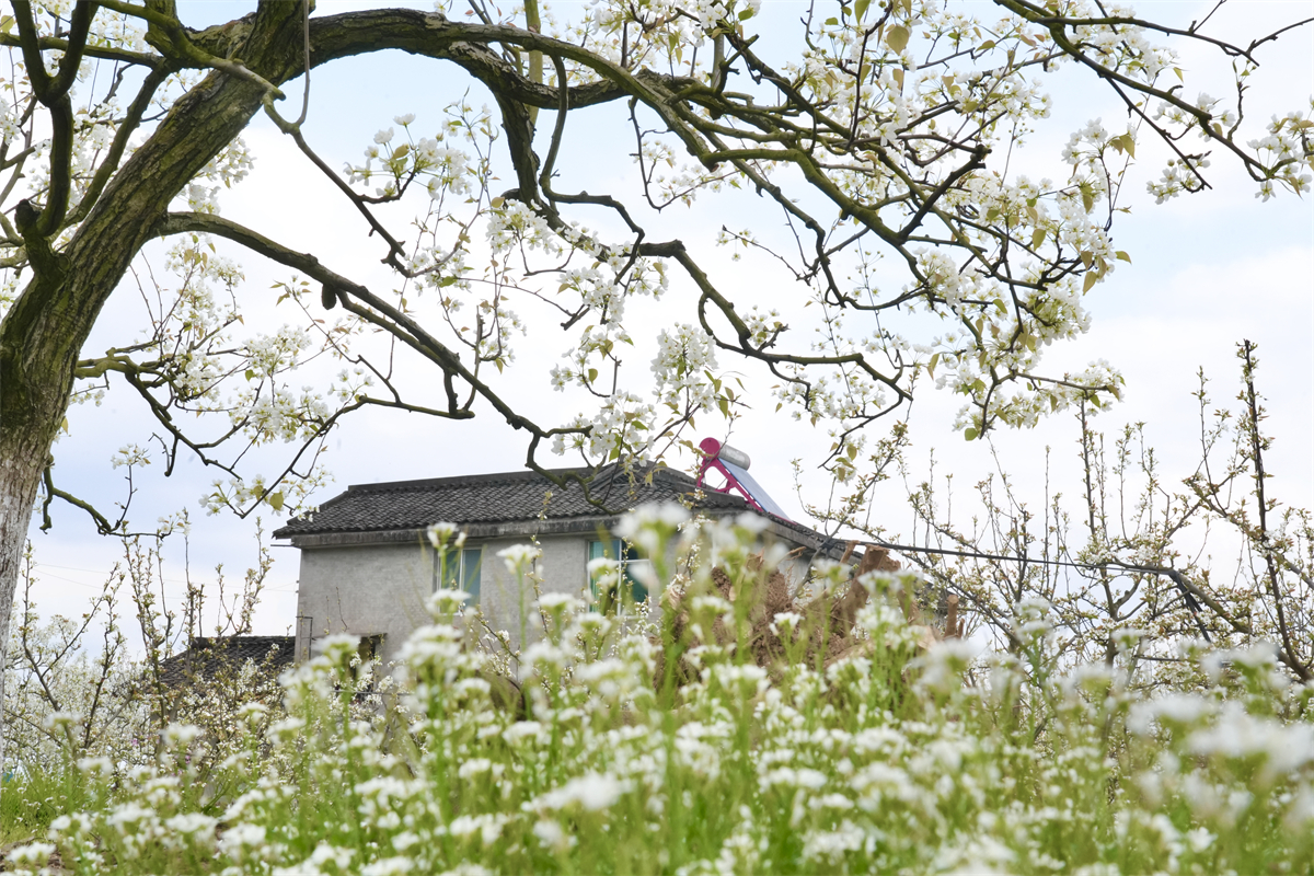 1773372693959979.jpg 88.jpg