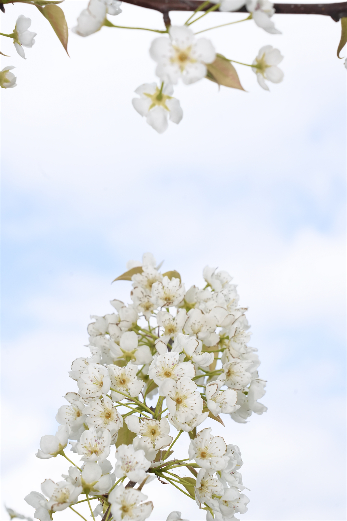 1773372717452707.jpg 77.jpg