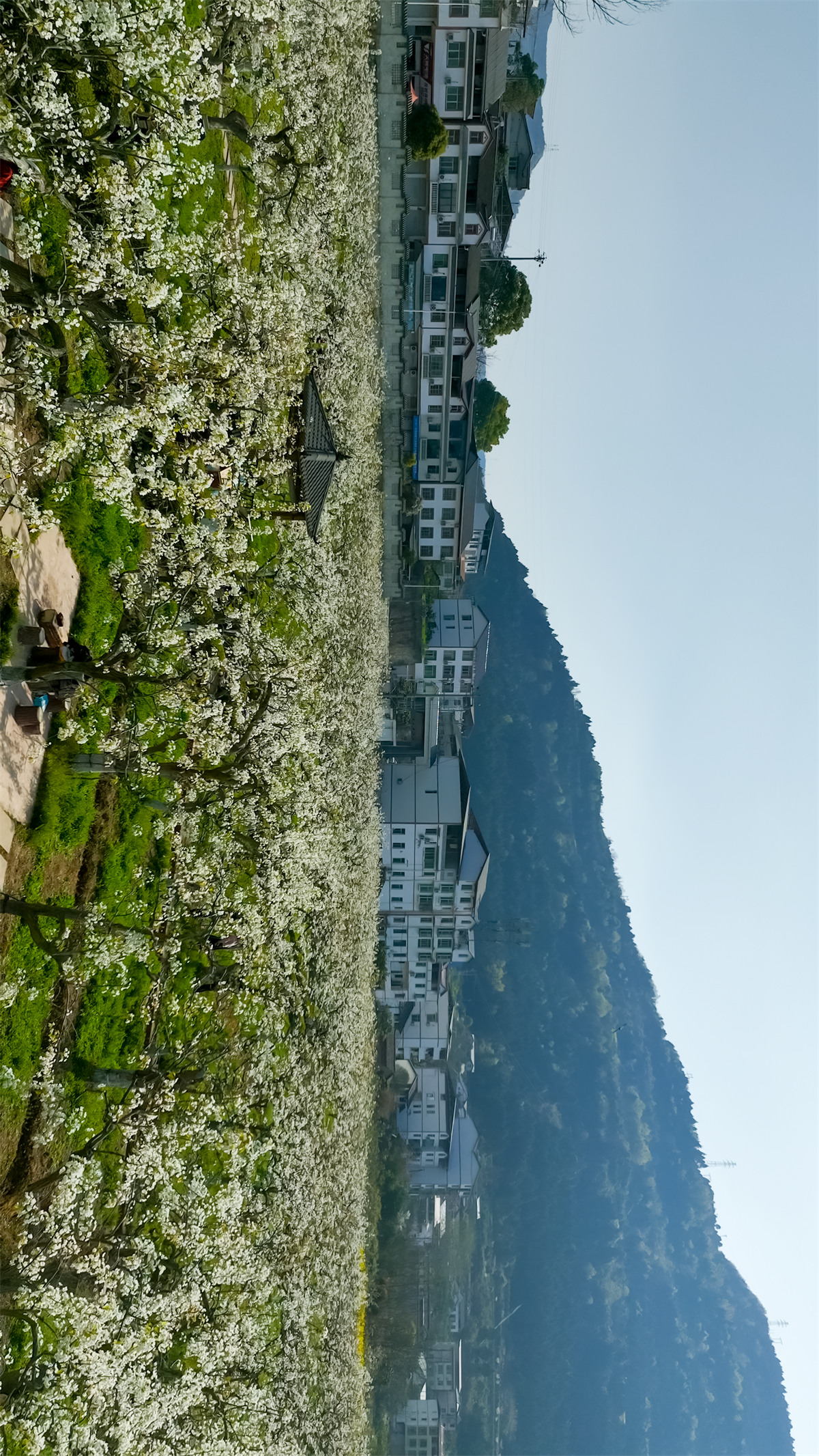 1773372746200879.jpg 微信图片_2026-03-12_163512_642.jpg