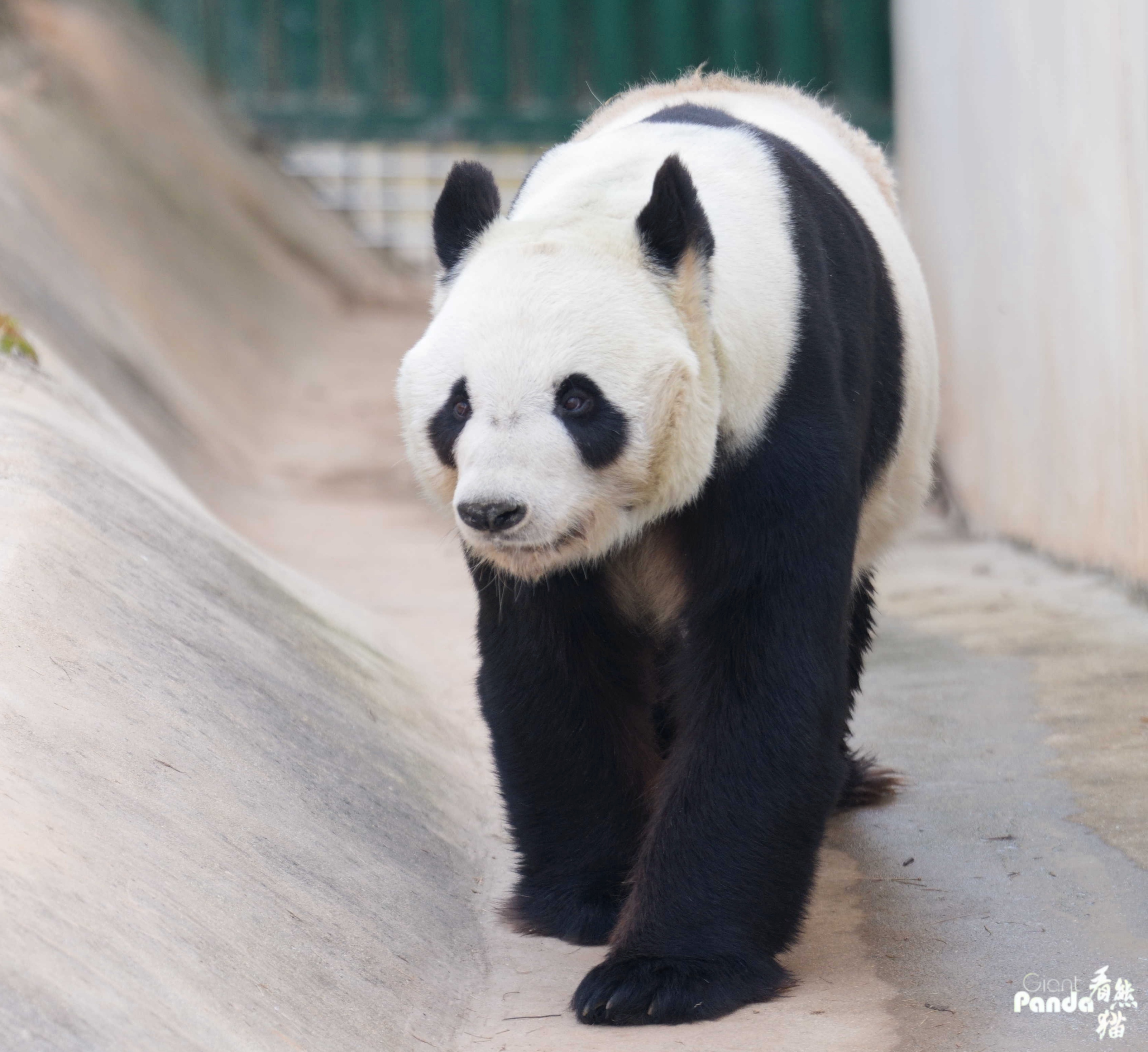 1773888033414219.jpg DSC06510_副本.jpg