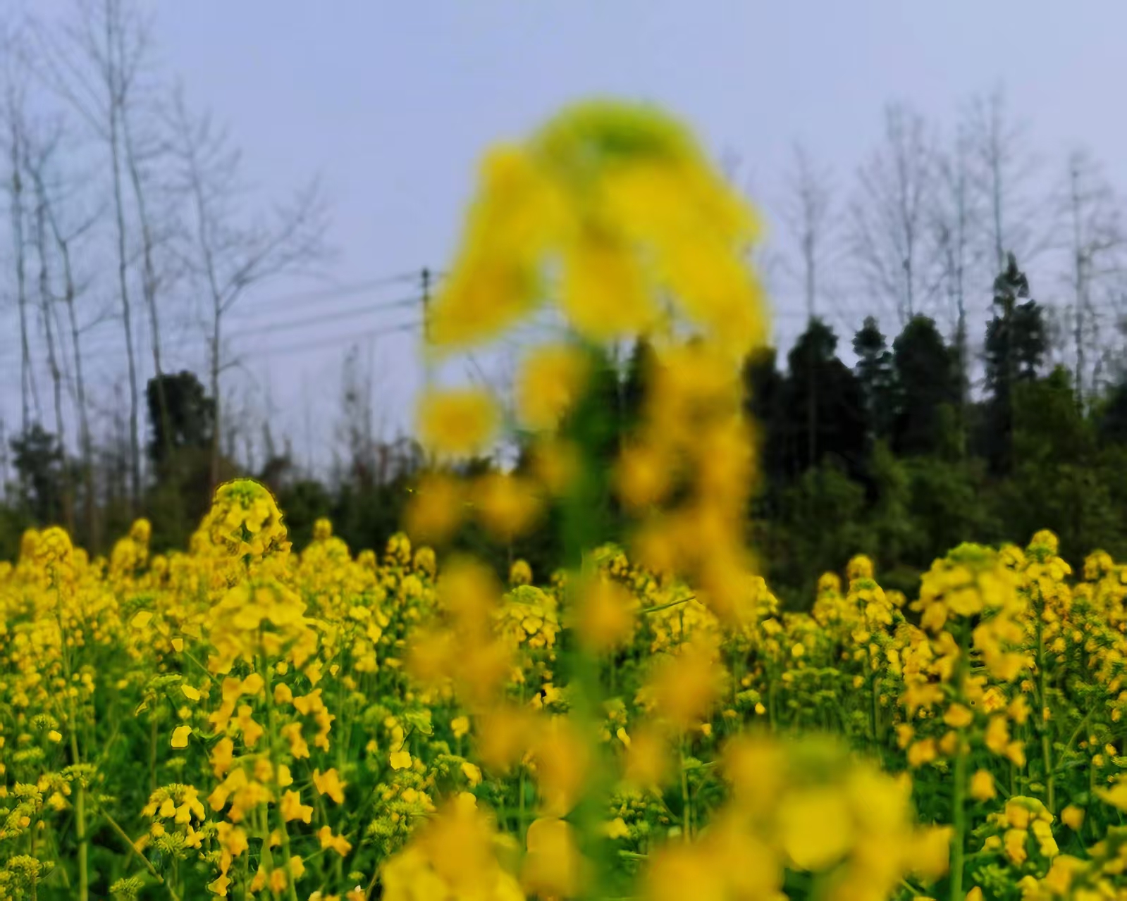 1773894700768590.jpg 微信图片_20260319123047_5216_179.jpg