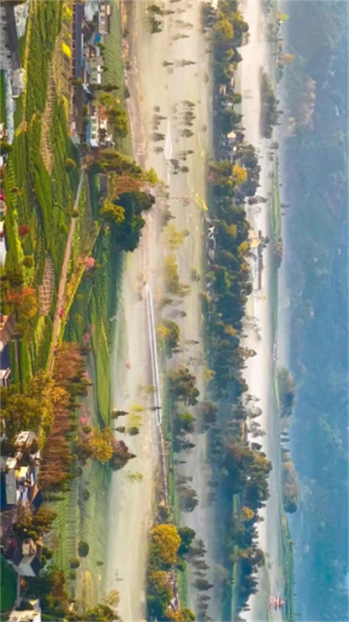 1773985915891182.jpg 图片2.jpg