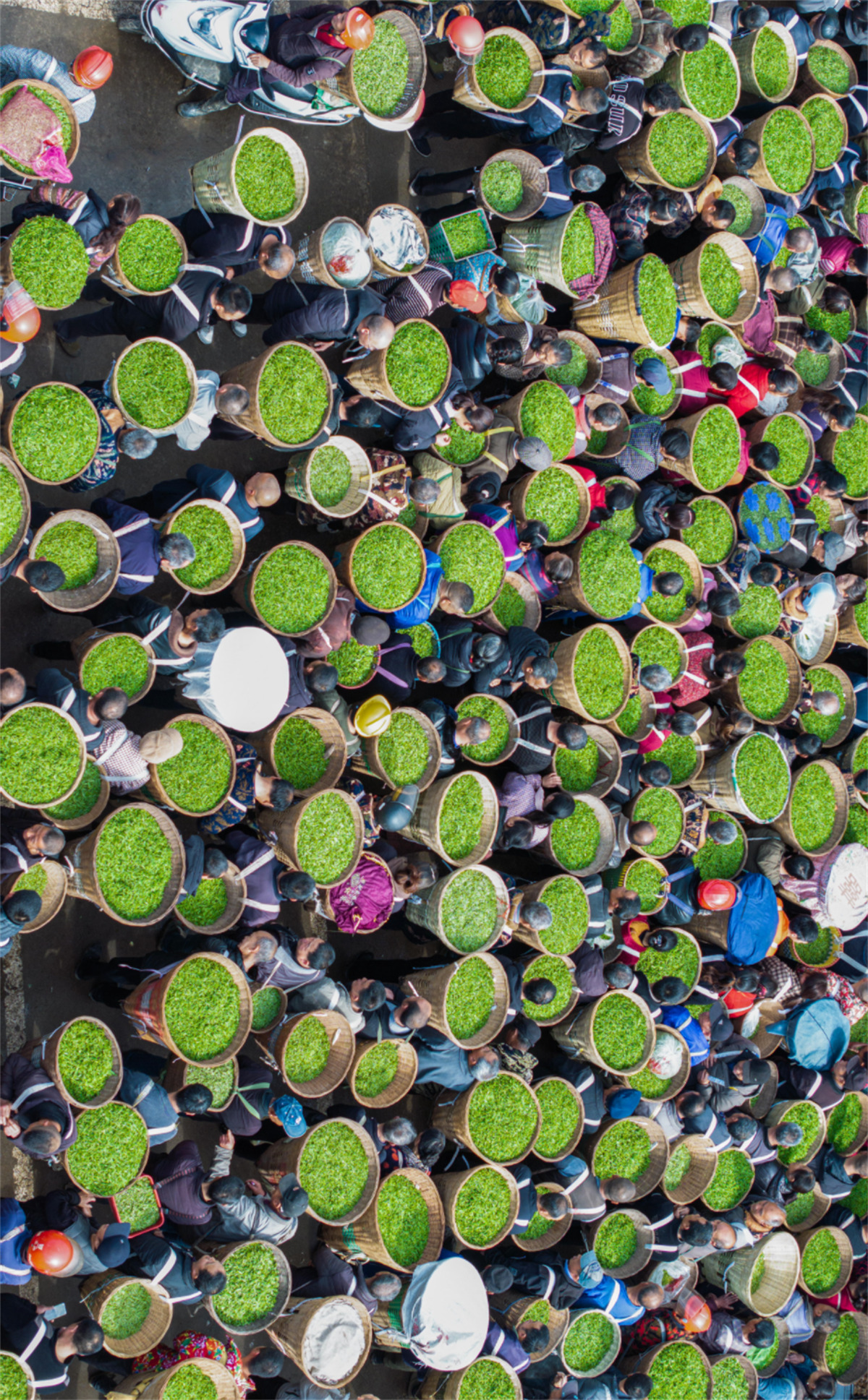 1773985979394078.jpg 图片3.jpg