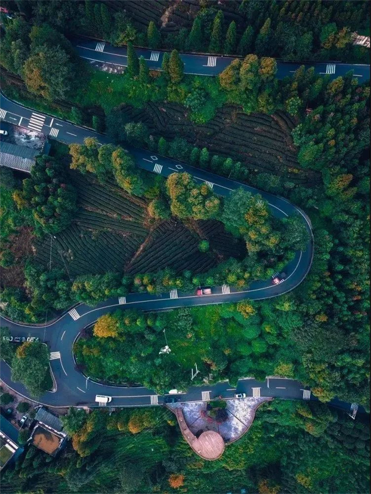 1773985992723761.jpg 图片4.jpg