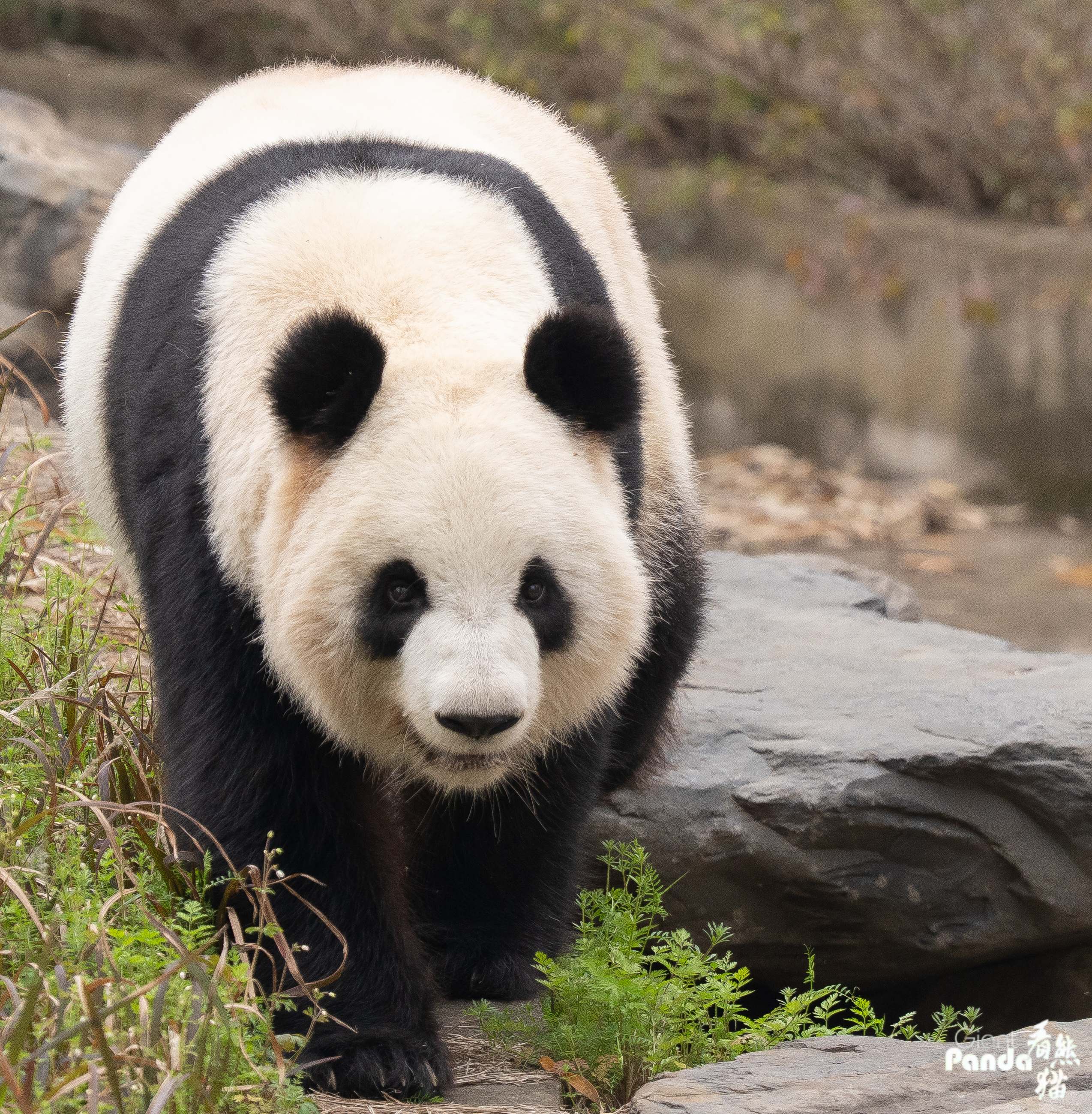 1774320630776835.jpg 微信图片_20260315125837_1575_8_副本.jpg