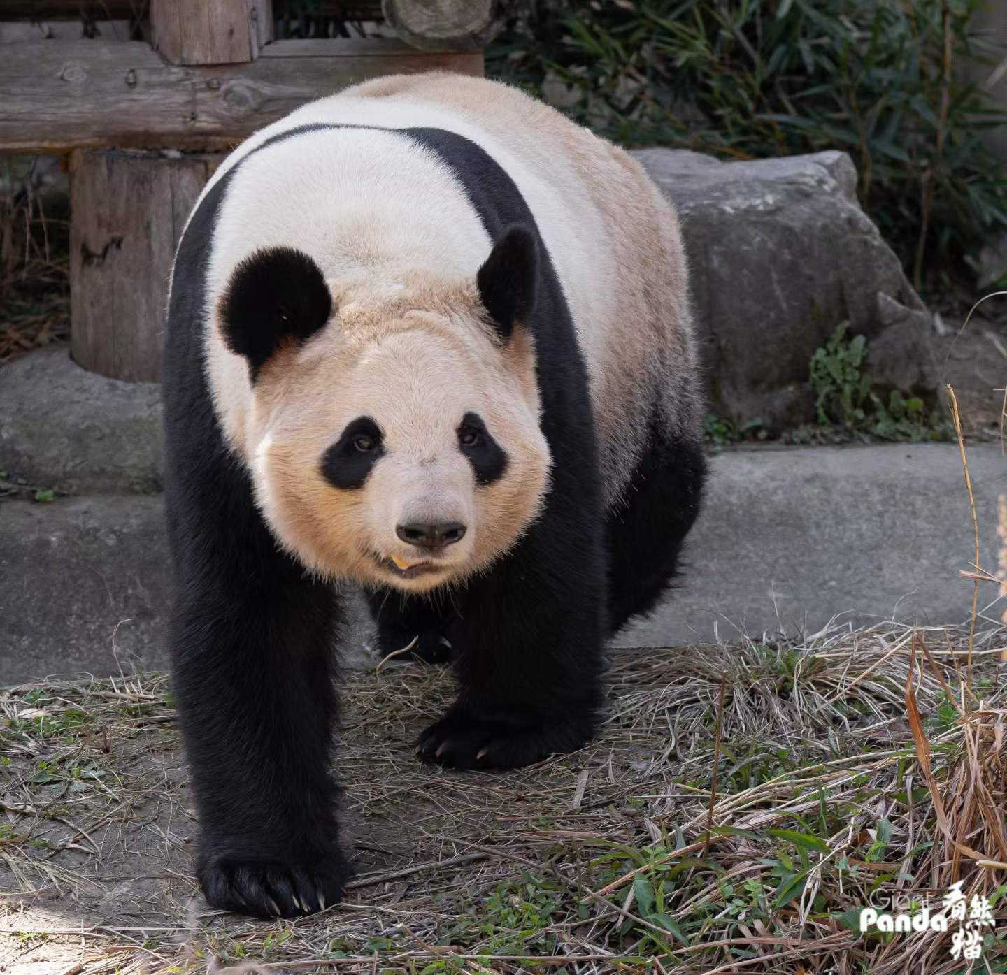 1774585128145074.jpg 微信图片_2026-03-23_151530_173_副本.jpg