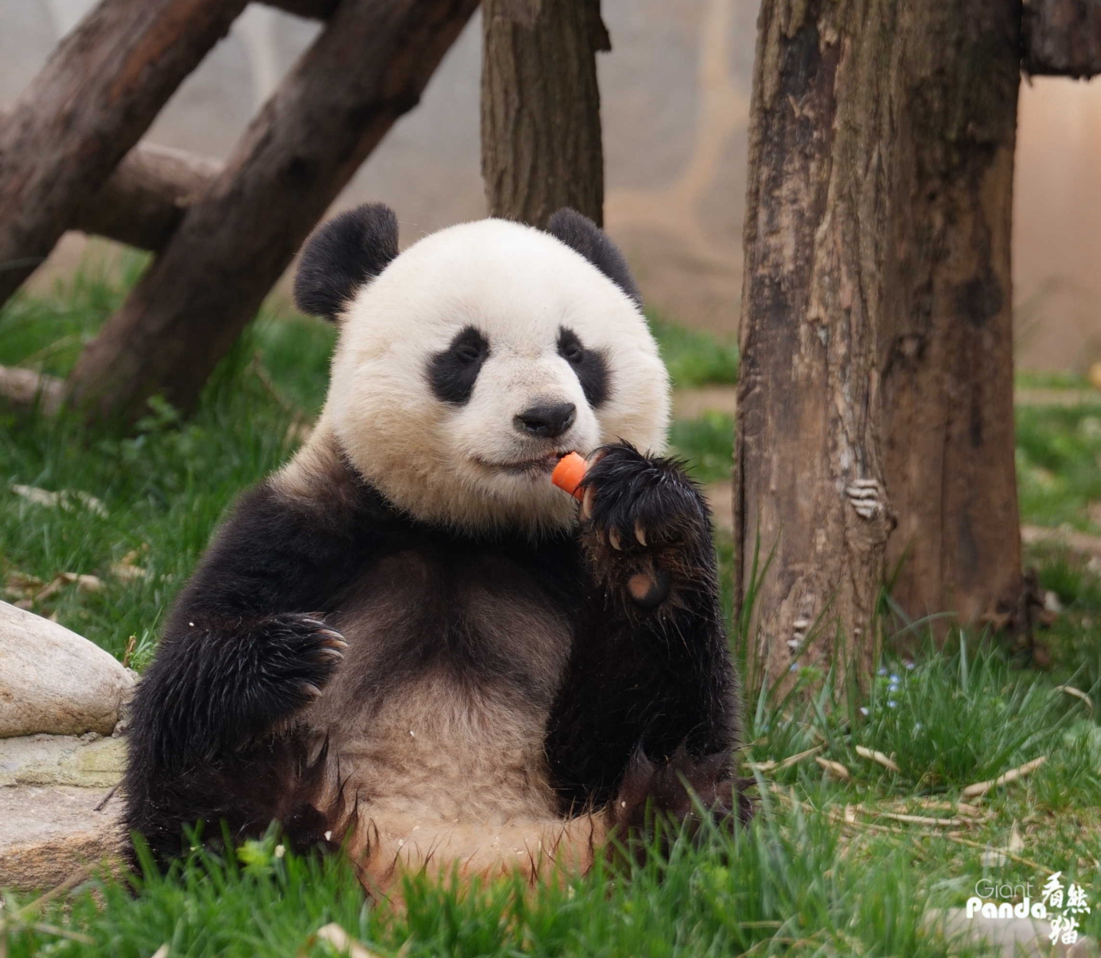 1775094709869194.jpg DSC00494_副本.jpg