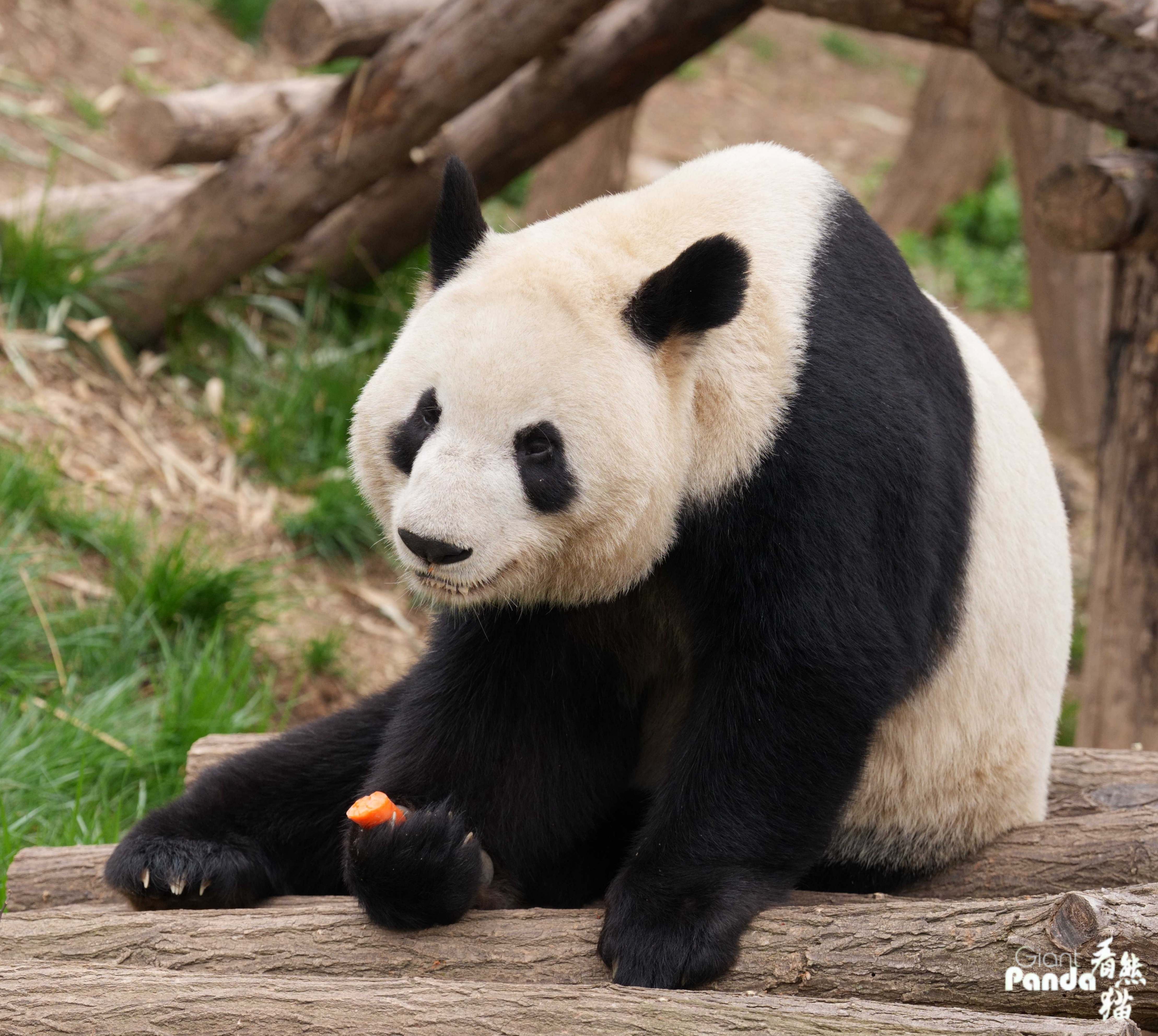 1775180067863190.jpg DSC00614_副本.jpg