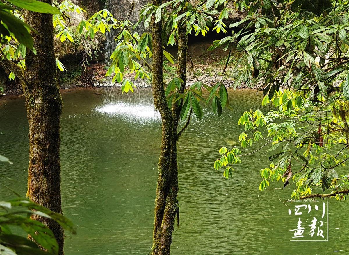 四川荥经龙苍沟叠翠溪景区_ID_638762_署名_曾幼灵_原图.jpg